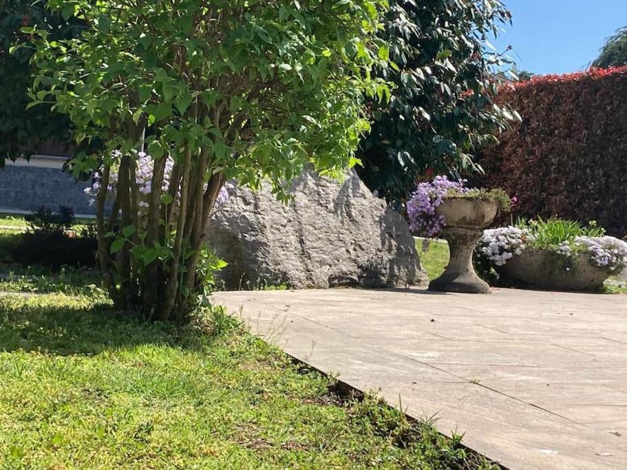 Un Bell Incontro Apartment Borgo Ticino Exterior photo