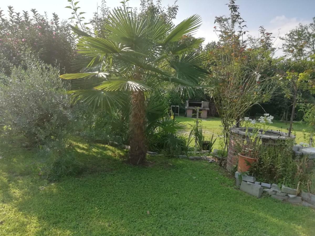 Un Bell Incontro Apartment Borgo Ticino Exterior photo